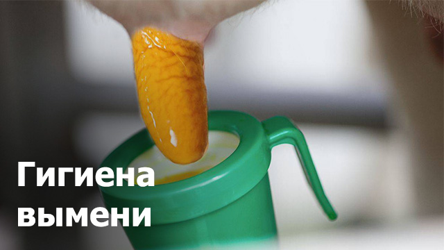 Средства для вымени