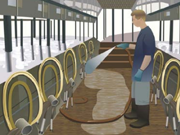 Очистка помещения / удаление навоза